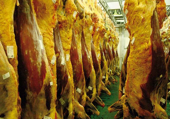 Su producto conservado en las mejores condiciones.